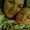Photo of Stacey B.