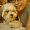 Photo of Candy H.