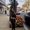 Photo of Daniela P.