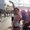 Photo of Rosei S.