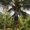 Photo of Bipra S.