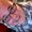 Photo of Dave S.