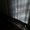 Photo of N J.