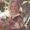 Photo of Natalie S.