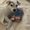 Photo of Lynne M.