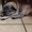 Photo of Kitty N.