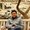 Photo of Anand V.