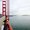 Photo of Rachel P.