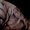 Photo of Qype User (kavanp…)