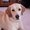 Photo of Jeni H.