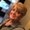 Photo of Darci T.