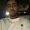 Photo of Shray C.
