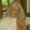 Photo of Miriam M. R.