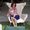 Photo of Janette F.