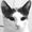 Photo of Bunny C.