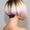 Photo of Cindy T.