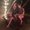 Photo of Cassie S.