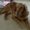 Photo of Dottie P.