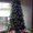 Photo of Stacy H.