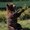 Photo of Ron T.