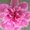 Photo of 144 P.