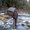 Photo of Devendra L.