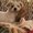 Photo of Brenda R.