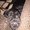 Photo of Bear C.