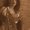 Photo of Natasha Y.