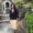 Photo of MaryLou M.