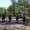 Photo of Tyler C.