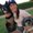 Photo of Krystal K.