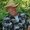 Photo of Richard B.