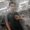 Photo of Jose J.