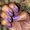 Photo of Sillette S.