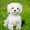 Photo of Yuki T.