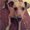 Photo of Harley P.