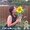 Photo of Sheri Y.