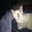 Photo of Crista R.