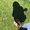 Photo of Trinh P.
