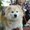 Photo of Takahiro S.