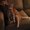Photo of Chey N.
