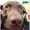 Photo of Samantha G.