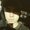 Photo of Nickolas S.
