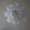 Photo of E S.