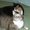 Photo of Kimber B.