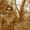 Photo of Ankit S.