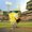 Photo of Shaan A.