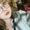 Photo of Breonna C.