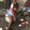 Photo of Melissa G.